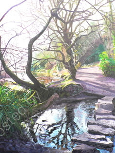 Stepping Stones, St. Catherine's Woods.